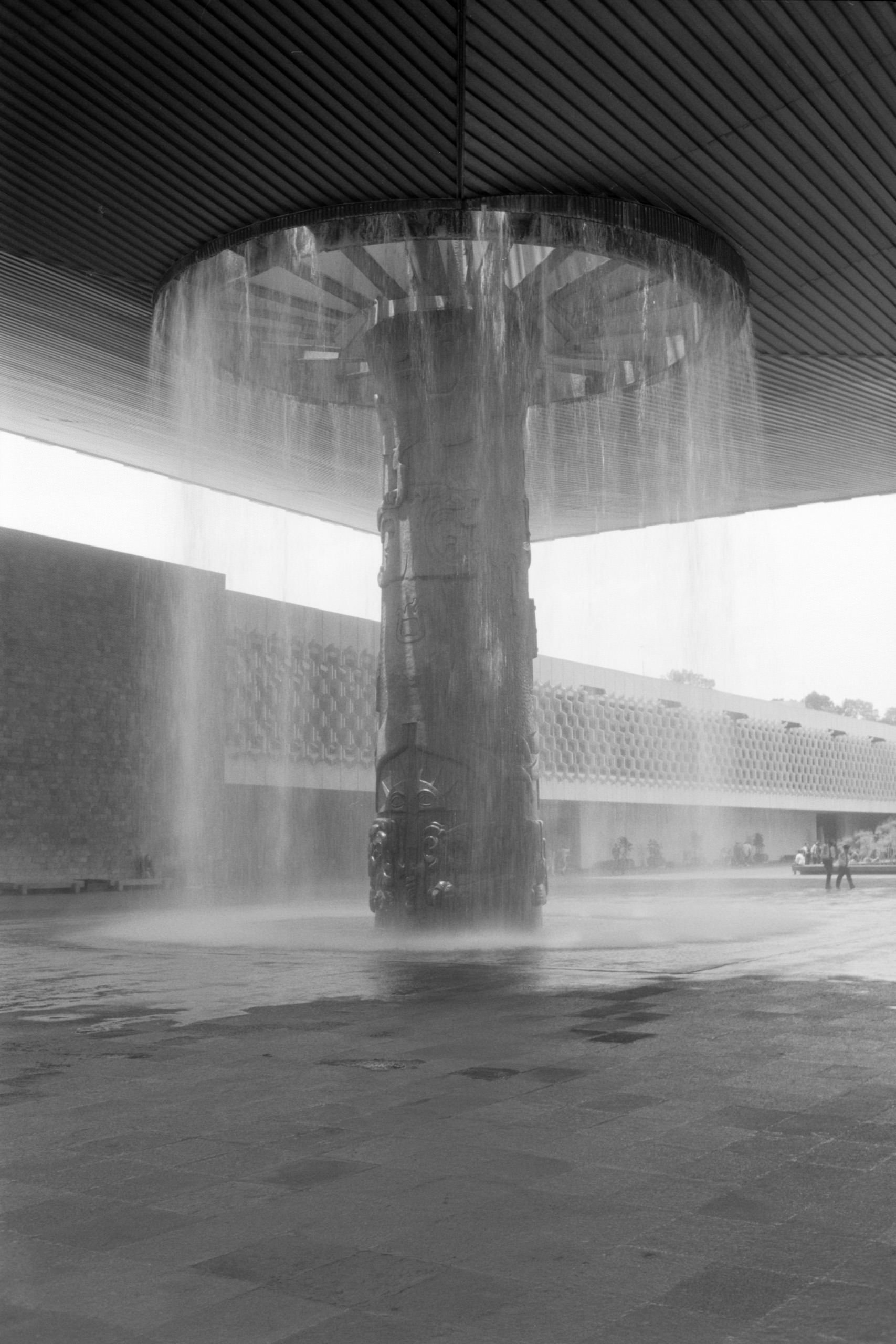 AHP FilmScan 240807 0518